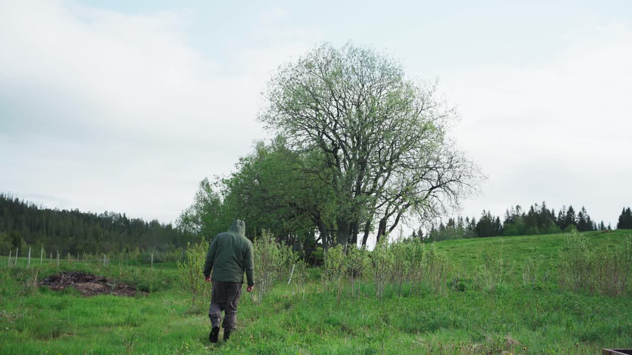 портрет одинокого человека в куртке с капюшоном в зеленых природных пейзажах