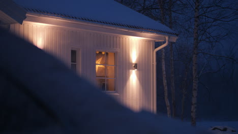 holiday decorations glow through window as wind blows snow on a cold night