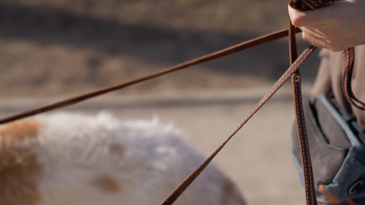Persona che tiene un guinzaglio arrotolato in pelle marrone con cuciture bianche, indossando abbigliamento casual da esterno. Un cane soffice è parzialmente visibile sullo sfondo su un sentiero sterrato sotto la luce naturale del giorno.