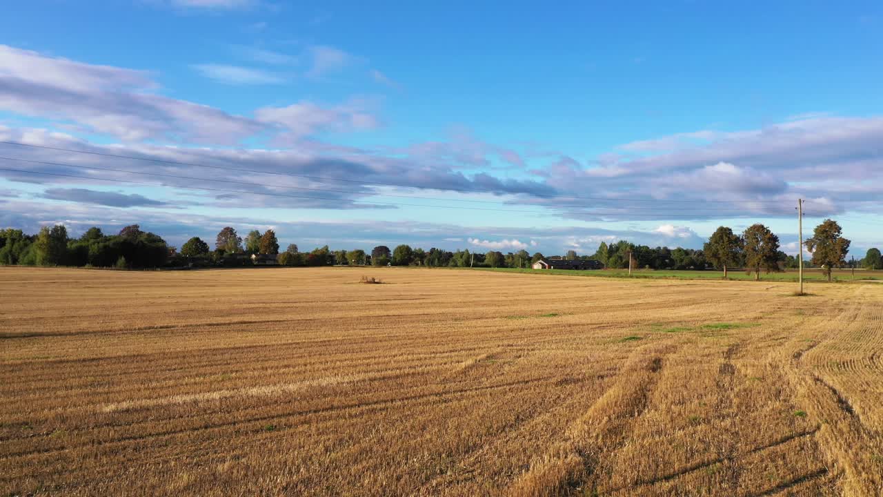 Frisch geerntetes Weizenfeld, tiefe Luftaufnahme über Ackerland in Richtung Bauernhof