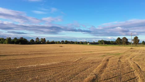 Freshly-harvested-wheat-field,-low-aerial-over-agricultural-land-towards-farm