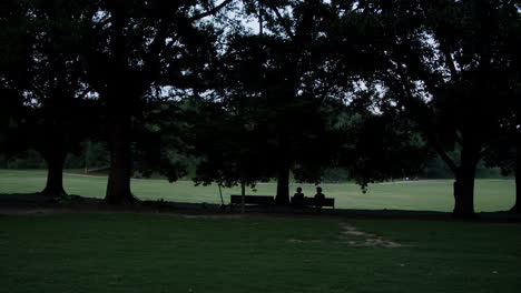 people relaxing in park at dusk