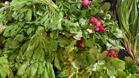 fresh radishes and greens at the market