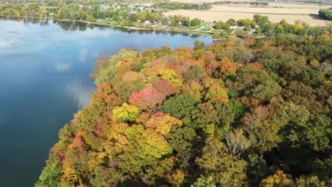 aerial view of colorful trees in a small forest next to a lake in minnesota during the fall season