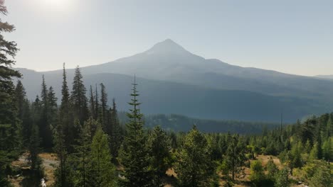 aerial view of mt