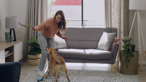 professional trainer teaching cute furry brown dog