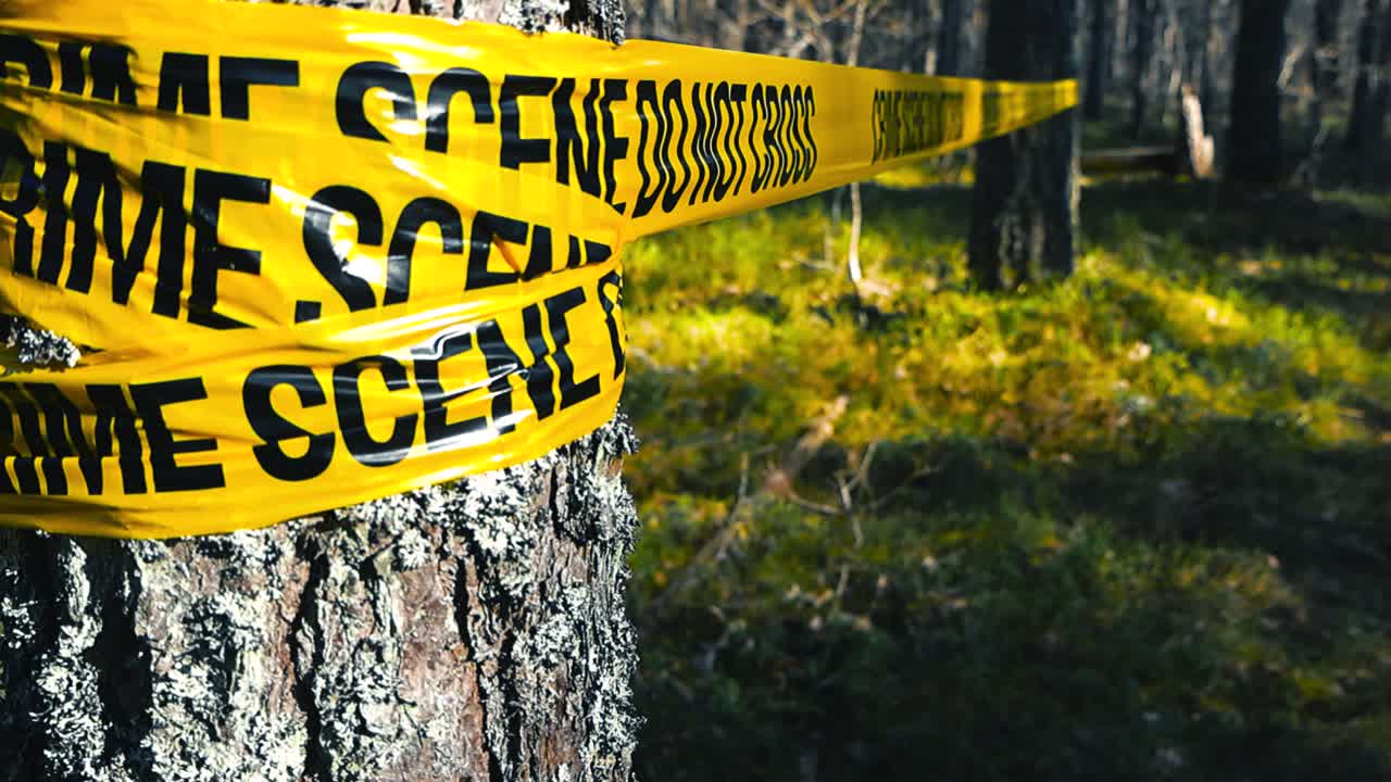 Yellow crime scene tape wrapped around a pine tree, sealing off an investigation area deep in the woods during an ongoing police investigation, with a focus on forensic evidence