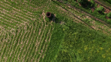 Aerial-view-of-crop-land-in-the-farm