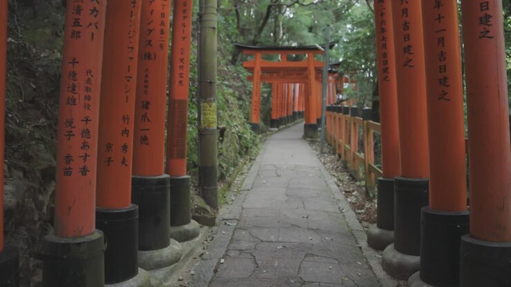 Ripresa in POV camminando attraverso Fushimi Inari Taisha, Kyoto Giappone