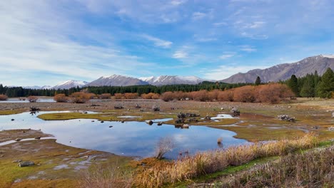 drone footage captures lake tekapo's reflective waters and autumn landscape with mountains in the background under a clear sky