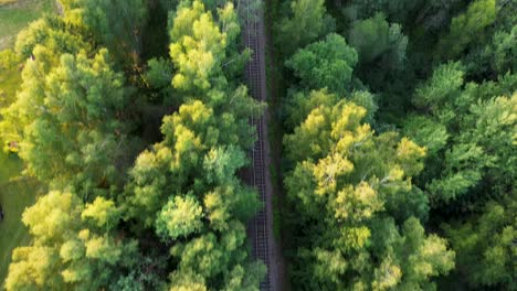 looking straight down at the train tracks that run through the trees in the forest