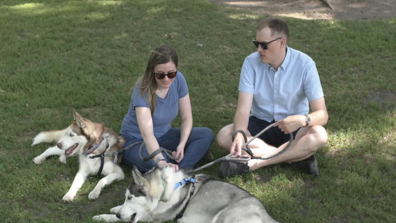 A couple sitting with their two pet Huskies talking to each other in the park. They sit in the grass on a summer day, wearing sunglasses. The dogs lounge in the sun