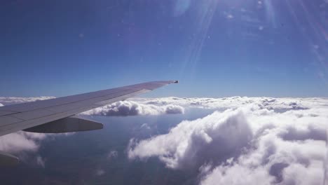 view from the clouds over the amazon jungle in brazil