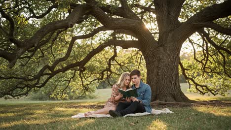 couple reading a book together under a large tree in a park