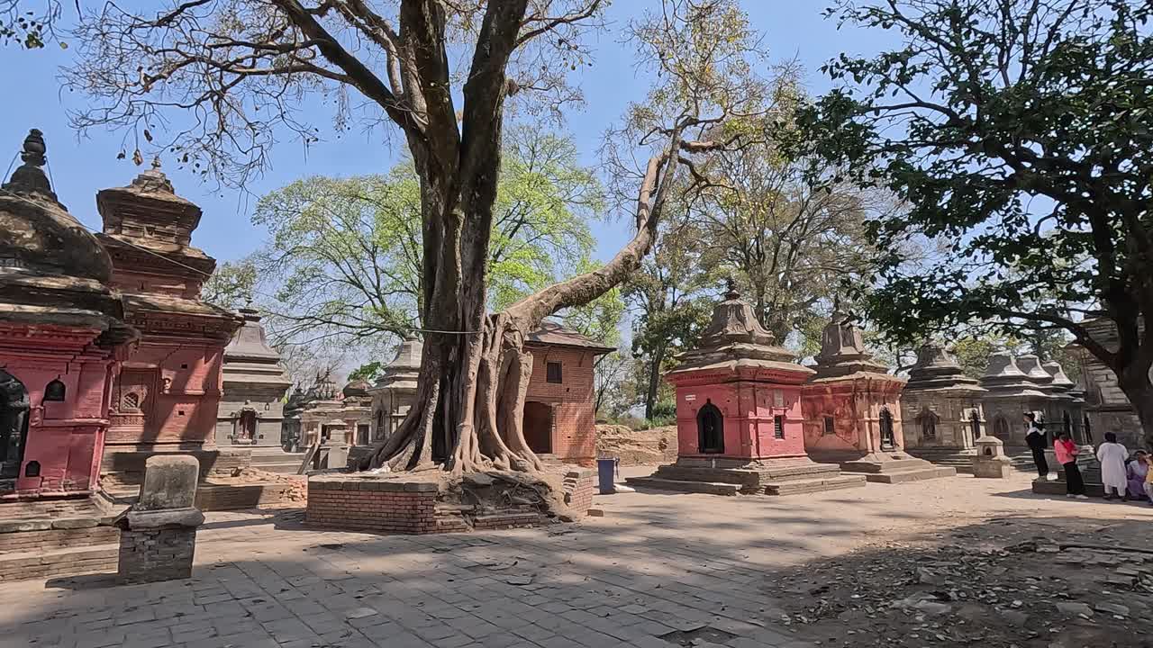 Pashupatinath Temple Shivalayas at Mrigasthali Mausoleums under Trees and blue sky. Kathmandu, Nepal