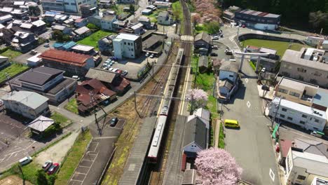 aerial follows a train, railway next to sakura cherry blossom pink flowers in a japanese spring village