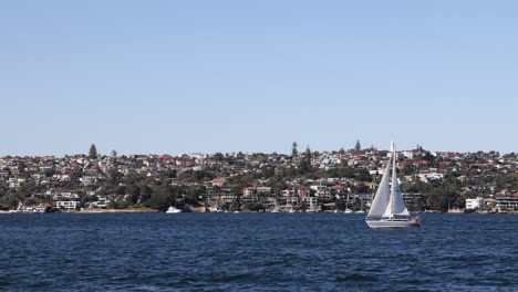 small sailboat sailing in sydney harbour during a calm sunny afternoon