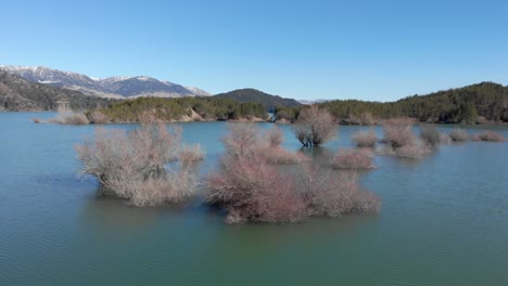 órbita-Vista-De-Drones-Aoos-Spring-Lake-árboles-Dentro-Del-Lago-Día-Soleado