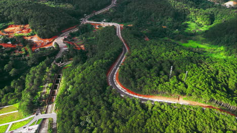 soar above a breathtakingly beautiful forest as a winding road cuts through the lush green canopy