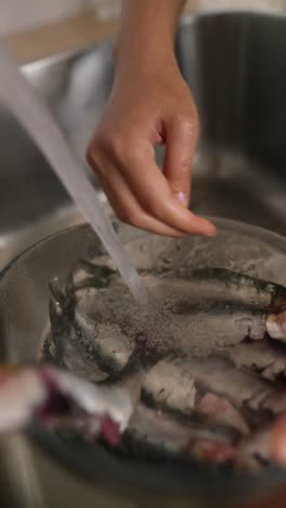 washing fish in a kitchen sink