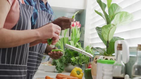 Glückliches-älteres,-Vielfältiges-Paar,-Das-Schürzen-Trägt-Und-Gemüse-In-Der-Küche-Wäscht