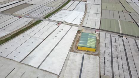 Vista-Aérea-Sobre-Una-Tierra-De-Cultivo-De-Invernaderos-Con-Plásticos-Blancos-En-Almería