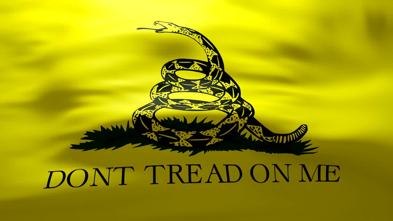 agitando la bandera de gadsden - bucle