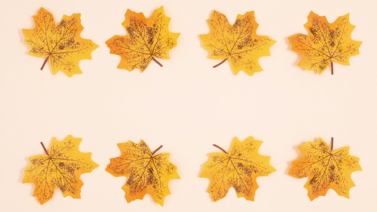 노란 가을 잎은 밝은 배경의 위쪽과 아래쪽에서 회전합니다.