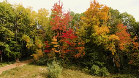 elevación aérea sobre el bosque con hojas cambiantes