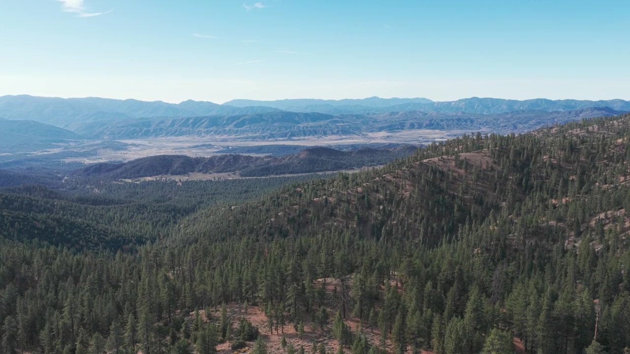 Morgenluftfoto af fyrreskov og bjergdal nær Mount Pinos, Californien, fanget med jævne, filmiske droneoptagelser