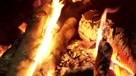 extreme close-up of burning woods into the fireplace