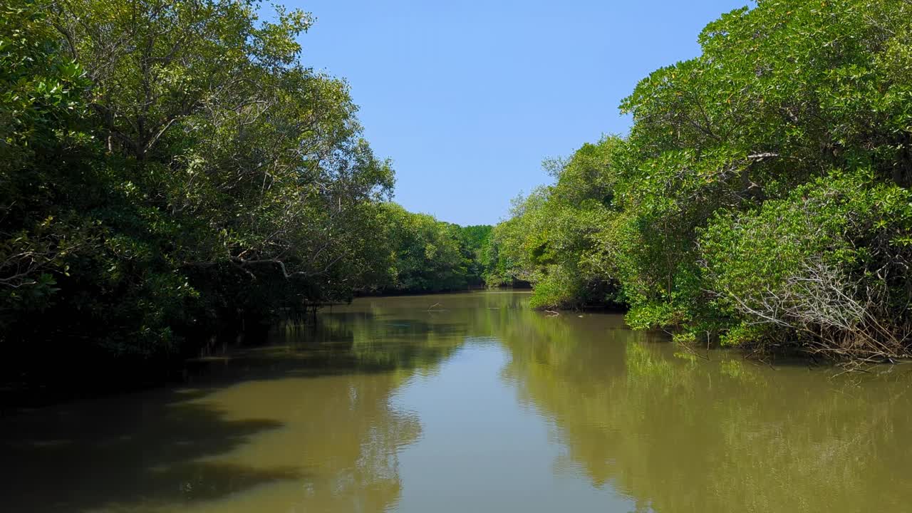 Scenic view of brackish lagoon and mangrove tree forest in Tangalle, Southern Province, Sri Lanka