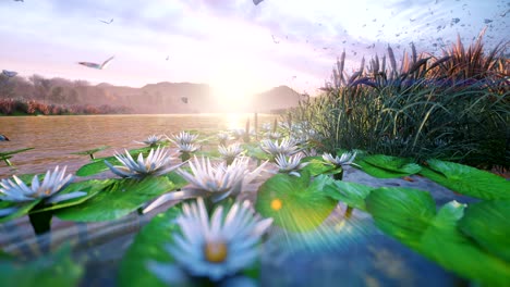 view of a beautiful pond in the countryside. beautiful nature, endless fields with insects, butterflies and birds, moss, green grass and shining sunrise. looped realistic 3d animation.