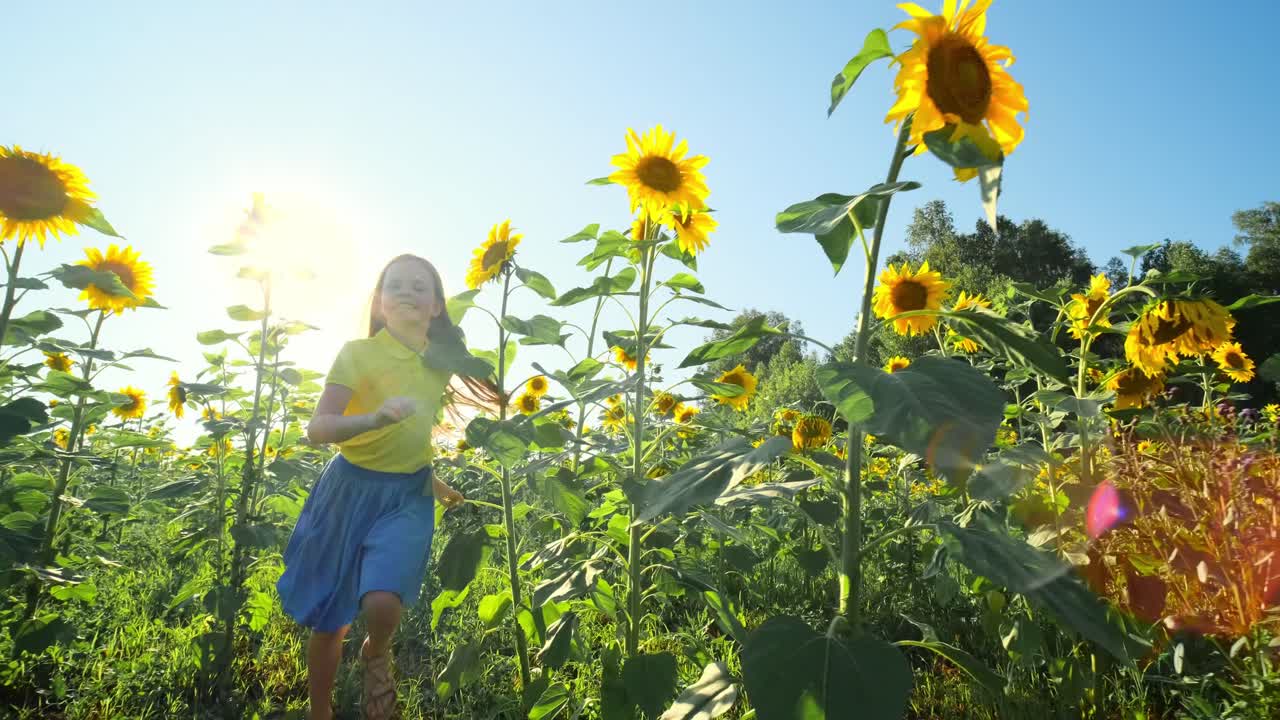 A Happy Child Running Among Sunflowers