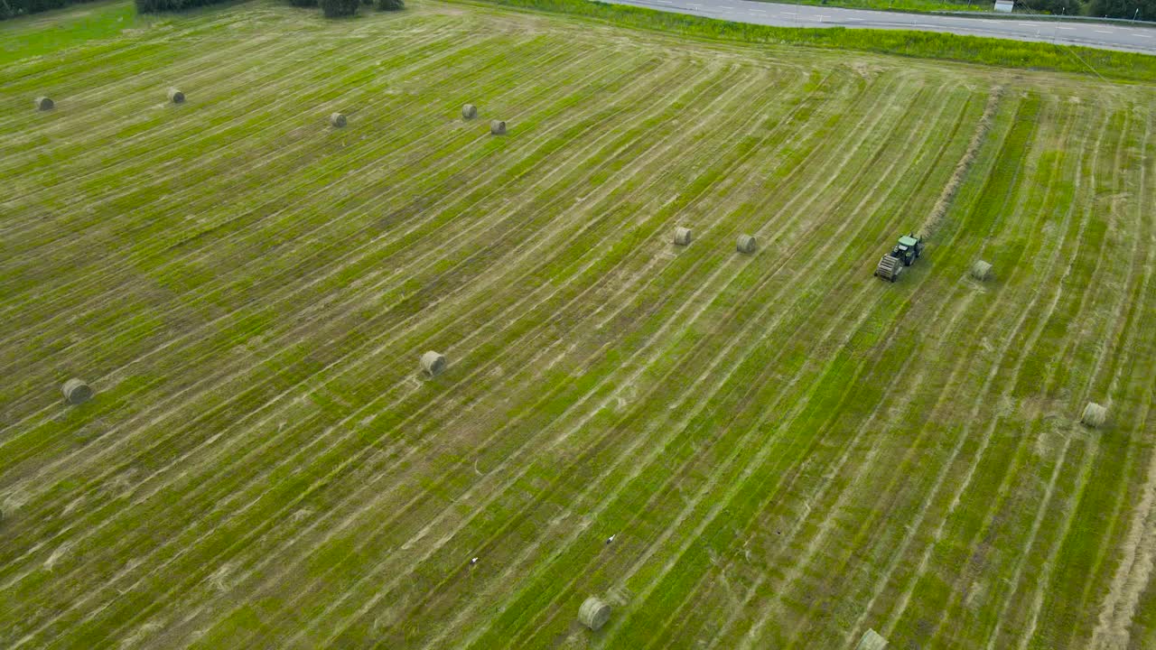 Aerial drone revealing a green tractor or hay baler that is creating hay bales on a grassy green and yellow farm field out of freshly cut silage wheat hay reeds. Storks are visible in the corer below