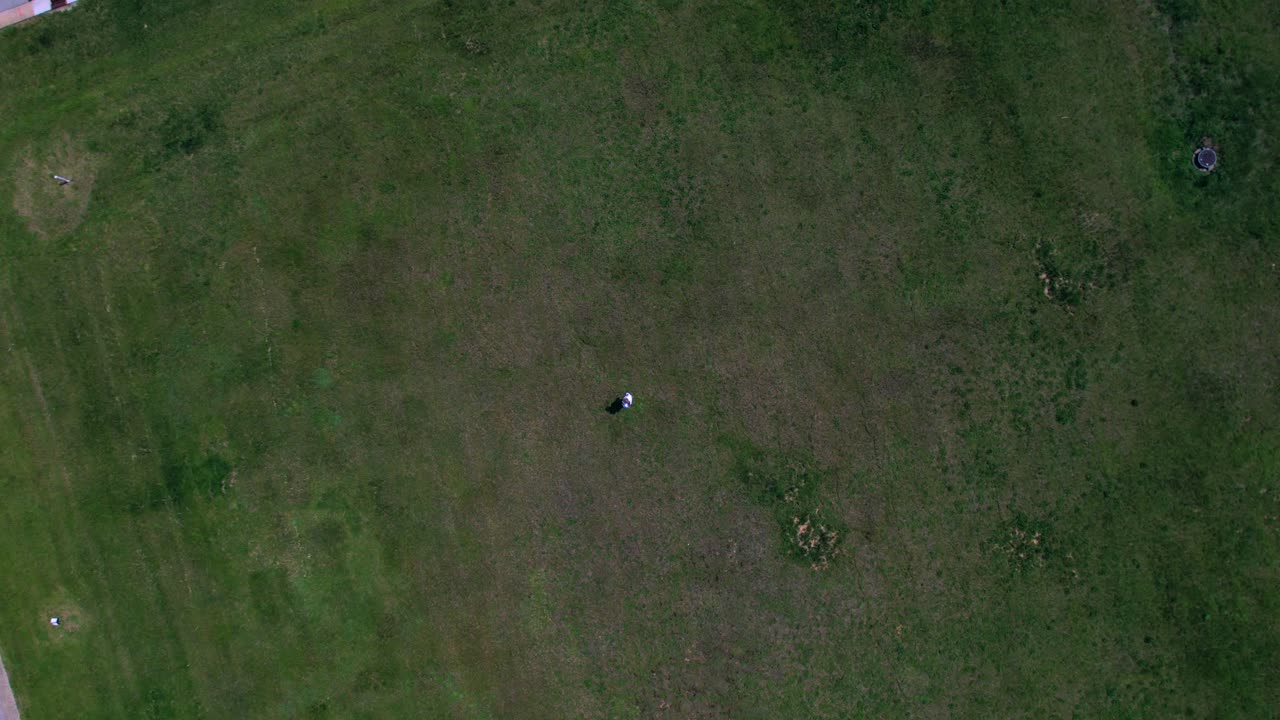 여자는 그린 필드에서 하늘로 팔을 제기