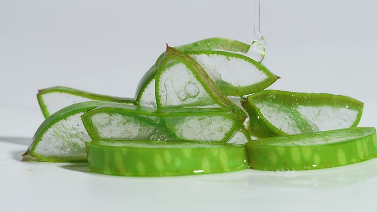 Transparent extract gel flows through the aloe vera sliced on white background. Natural medical plant for organic cosmetics, alternative medicine