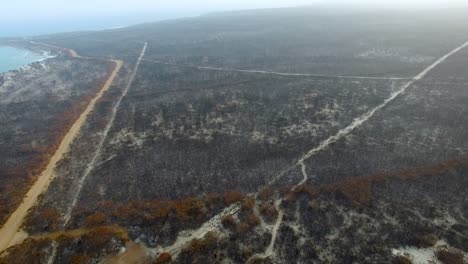 Antena-Ancha-De-Movimiento-Lento-De-4k-De-Un-Paisaje-Australiano-Carbonizado,-Cámara-Ligeramente-Inclinada-Hacia-Abajo