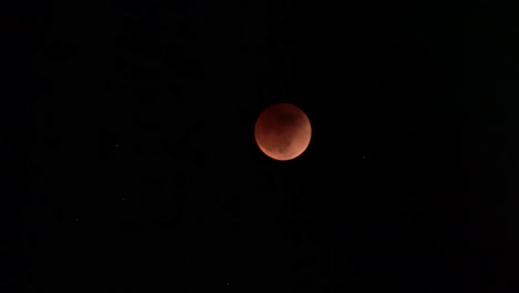 eclipse lunar de luna de sangre de super flor en el cielo nocturno