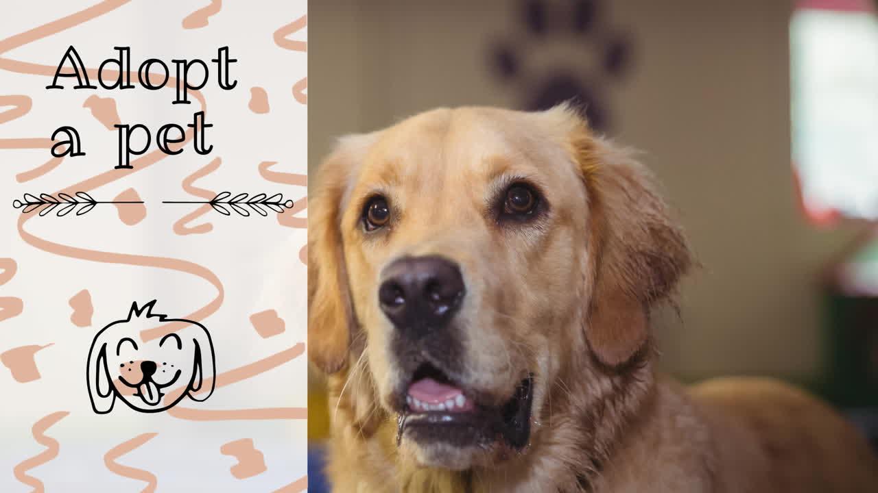 개 아이콘과 개 위에 애완동물 텍스트를 채택하는 애니메이션