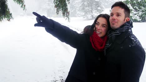 Pareja-Sonriente-Apuntando-A-Distancia-En-El-Bosque