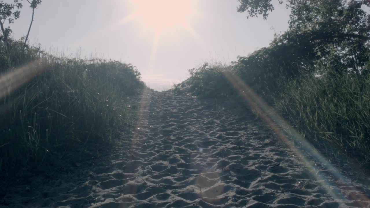 A tilting shot that moves from bottom to top revealing a walked on, sandy pathway at the head of a marshy trail leading to a beach in South Eastern Wisconsin.