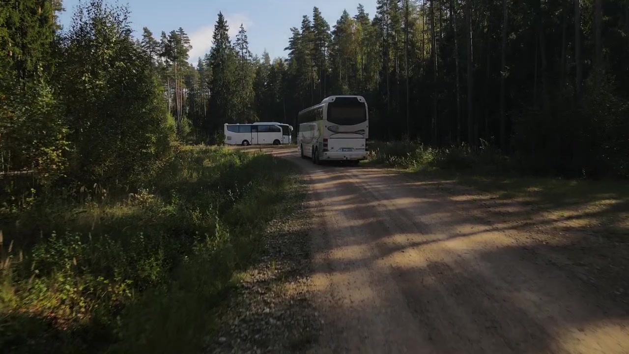 Un grande autobus turistico viaggia lungo una strada tortuosa circondato da una fitta pineta, creando un'atmosfera serena e avventurosa.