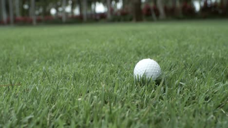golf club hits a white golf ball in a super slow motion. drops of morning dew and grass particles rise into the air after the impact. shot on super slow motion camera 1000 fps.