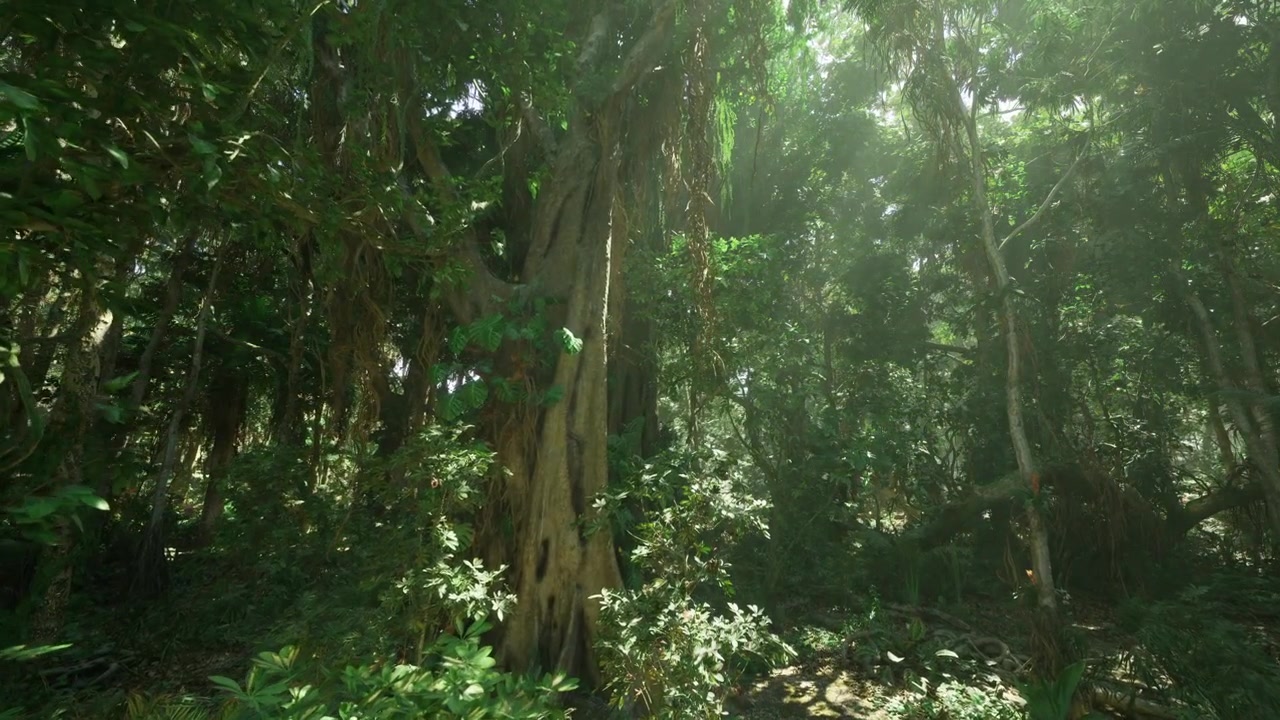 Un banyan storico con radici aeree crea un'atmosfera sacra.