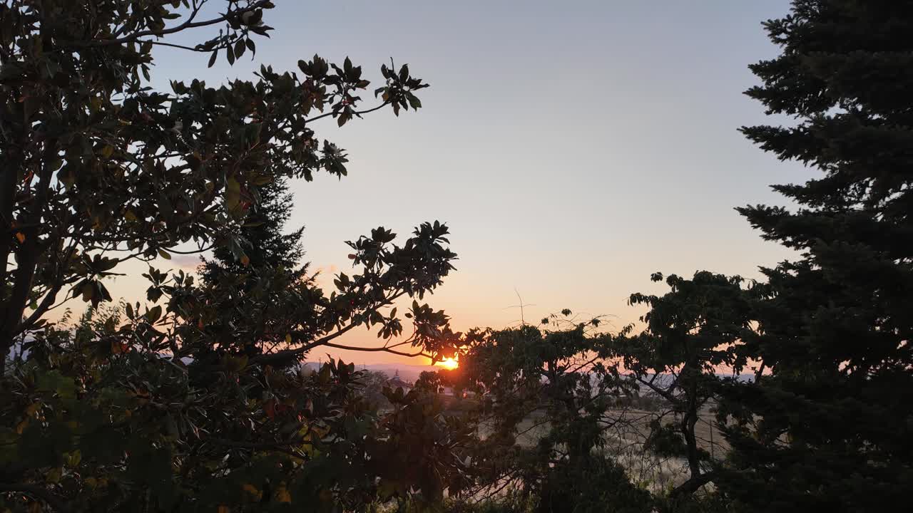 Sunset timelapse sun behind tree evergreen spruce branches nature clear sky golden hour