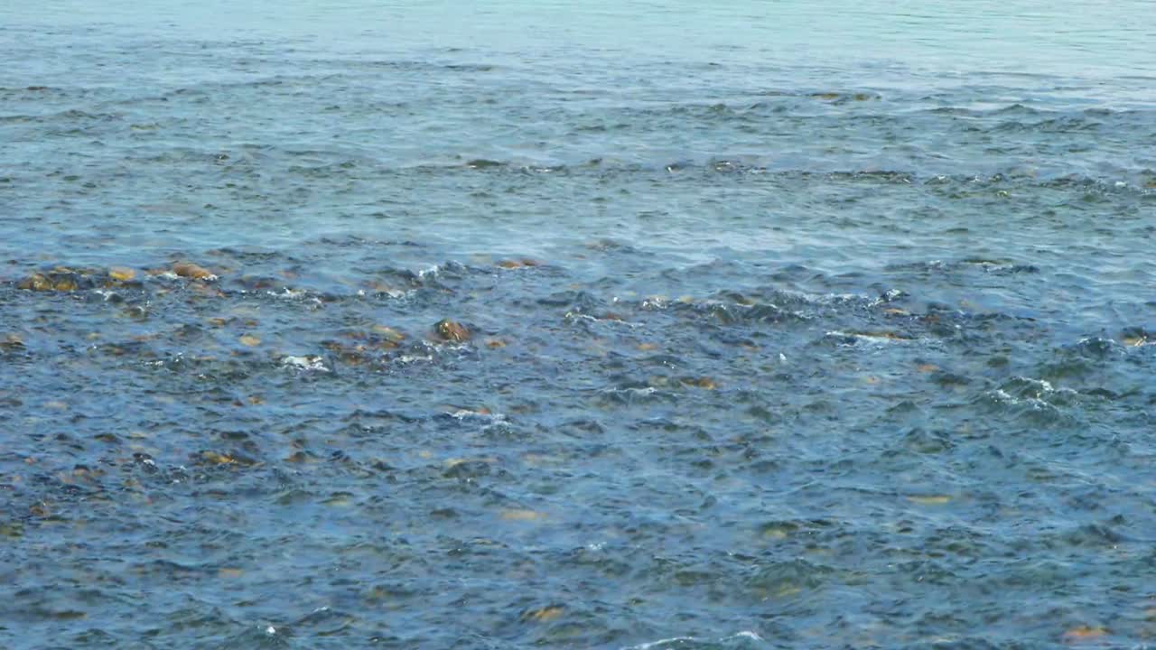 아름다운 강 흐름과 작은 갈라진 연안