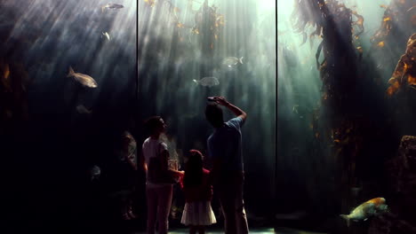 happy family looking at fish and taking pictures