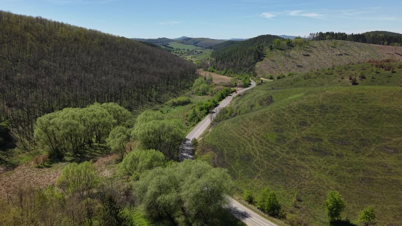 Una veduta aerea mostra una strada asfaltata serpeggiante che attraversa dolci colline verdeggianti e rigogliose e vivaci paesaggi forestali primaverili.