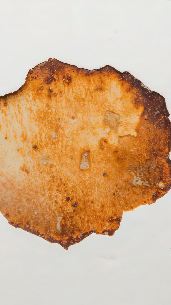 Vertical video: Panning camera revealing toasted crisp on white table to show bubbles and crumbs